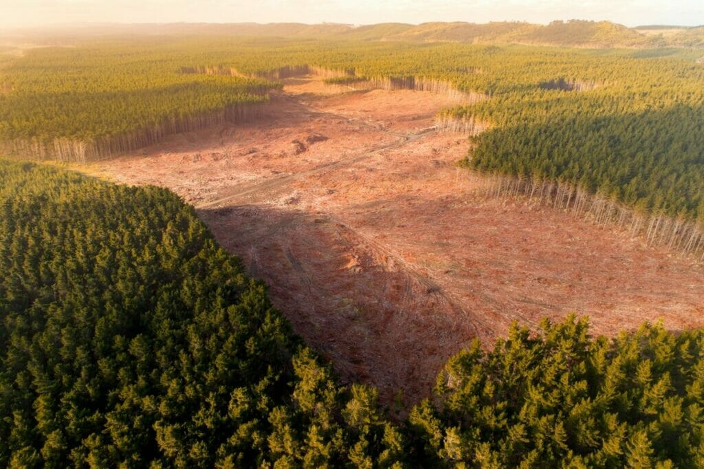 land cleared and prepared for building